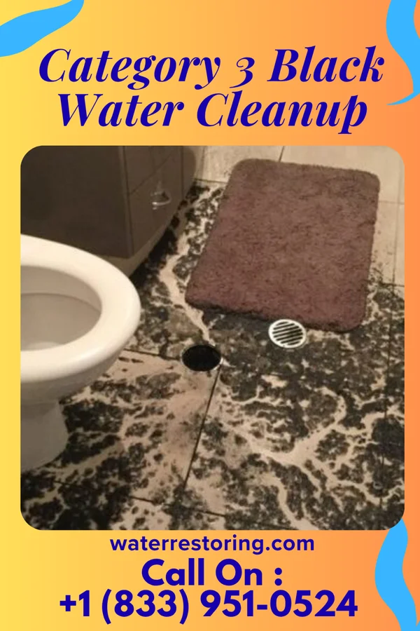 Category 3 Black Water Cleanup in Pitsburg, OH