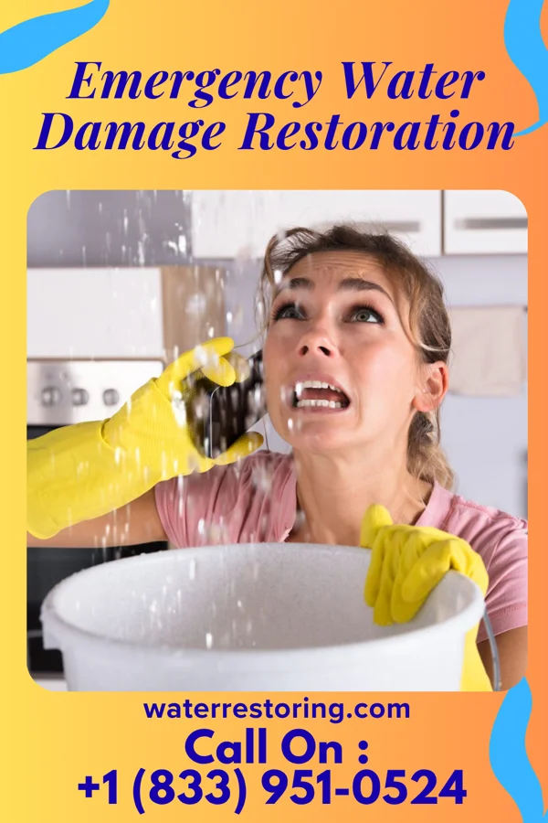 Emergency Water Damage Restoration in Pitsburg, OH