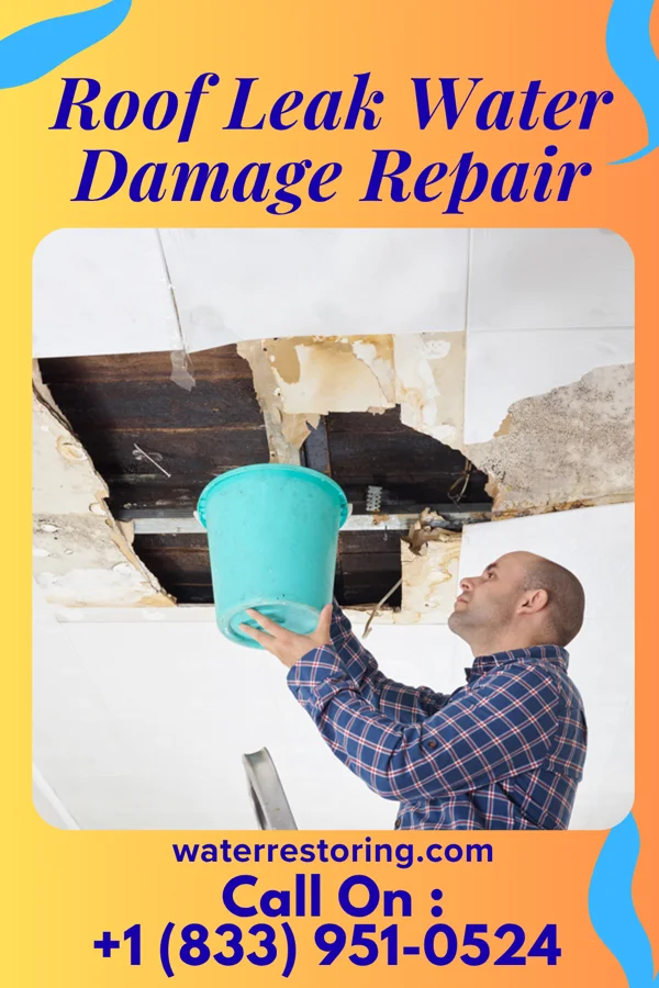 Roof Leak Water Damage Repair in Pitsburg, OH