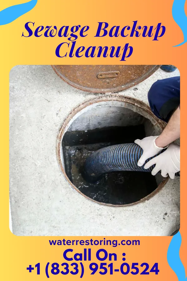 Sewage Backup Cleanup in Pitsburg, OH
